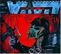 War and Pain