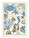Michel Design Works Seashore Kitchen Towel