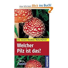 Welcher Pilz ist das?