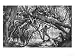 Caripuna Indians with Tapir, from The Amazon and Madeira Rivers, by Franz Keller, 187...