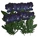 Silver J Pressed real dried flowers, 2 packs, dark purple pansy. card making & craft