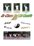 Dr. Chen's Tai Chi GongFa 201 (22 Minutes Easy, Simple and Effective Tai Chi Qi Gong Workout)