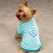 X-SMALL - BLUE MAMA'S BOY - Apple-Of-My-Eye T-Shirts