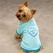 Pet Supplies : SMALL - BLUE MAMA'S BOY - Apple-Of-My-Eye T-Shirts