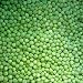 Peas Dehydrated Dried Survival Food - Giant #10 Can