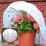 PLANT COVER