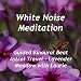 Guided Binaural Beat Astral Travel - Lavender Meadow With Laurie