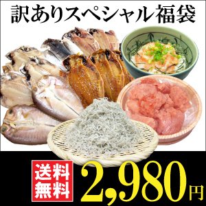 サーモンねぎとろ版【送料無料】訳ありスペシャル袋