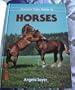 Crescent Color Guide To Horses