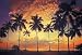Maldives 1-250 Wall Mural