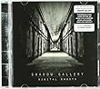 Digital Ghosts by Shadow Gallery (2009-11-27)【並行輸入品】
