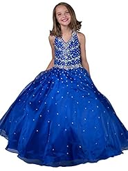 Girls  Corset   Waistline Organza/Satin/Tulle Backless Lace Beaded Halter  Ball Gown Flower-Girl Dress/Pageant Dress/Party Dress 