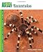 Tarantulas (Animal Planet Pet Care Library)