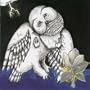 Magnolia Electric Co