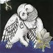 The Magnolia Electric Co.