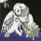 The Magnolia Electric Co