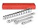 TEKTON 11651 1/2-Inch Drive Pro Socket Set, SAE, 17-Piece