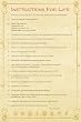 Dalai Lama (Instructions For Life) Art Poster Print - 24" X 36"
