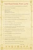 Dalai Lama (Instructions For Life) Art Poster Print - 24x36