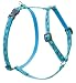 Sea Ponies - 1/2 in. Lupine Adjustable Roman Style Harness - 9 in. to 14 in.