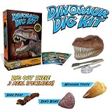 Dinosaur Digging Kit - Excavate 3 Genuine Dino Specimens!by Discover with Dr. Cool