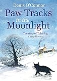 Paw tracks in the moonlight