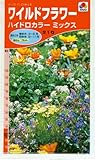 ワイルドフラワー　ハイドロカラー ミックス　種子 [タキイ種苗]