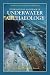 International Handbook of Underwater Archaeology
