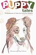 Puppy Tales: The Adventures of Adam the Australian Shepherd