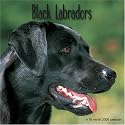 Black Labradors 2008 Wall Calendar