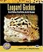 Leopard Geckos (Complete Herp Care)