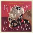Punching In A Dream