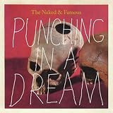 Punching In A Dream