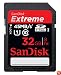 SanDisk Extreme 32 GB SDHC Class 10 UHS-1 Flash Memory Card 45MB/s SDSDX-032G-AFFP