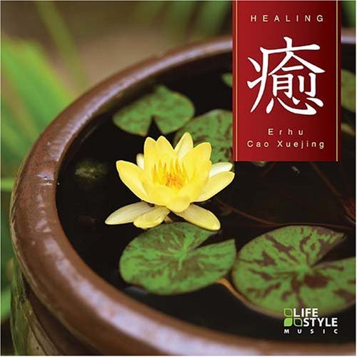 癒~二胡~