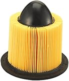 Fram TGA8039 Air Filter