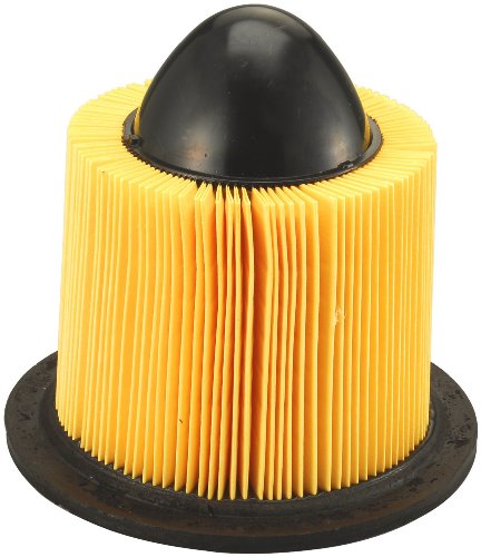 Fram TGA8039 Air Filter