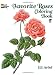 Favorite Roses Coloring Book (Dover Nature Coloring Book)