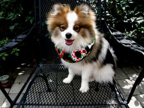 Puppy Bumper - Keep Your Dog on the Safe Side of the Fence-retro Wreath Large 10-13"