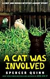 A Cat Was Involved: A Chet and Bernie Mystery eShort Story
