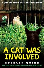 A Cat was Involved