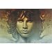 Spirit of Jim Morrison Poster - 24x36"