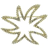 Pave Star Brooch & Pins