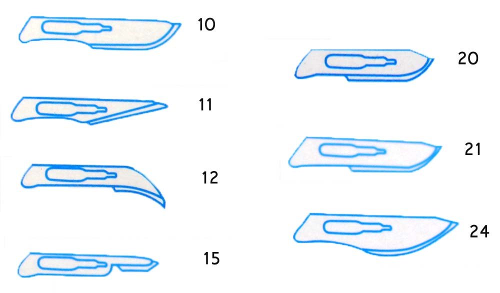 ToolUSA Bulk Variety Pack Of Sterile And Disposable Scalpels With ...