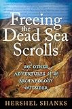 Freeing the Dead Sea Scrolls and other adventures of an archaeology outsider