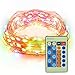 Litake 100 LED 33ft String Lights Copper Wire Waterproof String Lights Dimmable LED String Lights for Christmas Wedding Parties-Multicolor with Remote Control and Plug