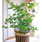 ���i�̏ڍ�