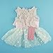 Fitwarm Pink Rose Lace Pet Dog Wedding Dress Bride Formal Clothes Tutu Vest, X-Small