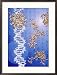 Dna Helix, Proteins, with Genetic Code in Background Framed Art Poster Print by Jacob Halaska, 21x29