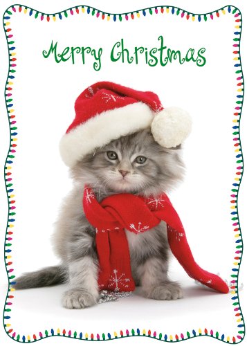 Christmas Kitty-All Wrapped Up Boxed Holiday Cards
